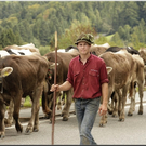 Alb2010alpAbtr  320.jpg