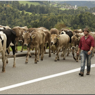 Alb2010alpAbtr  324.jpg