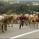 Alb2010alpAbtr  331.jpg