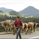 Alb2010alpAbtr  335.jpg