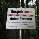 Wildwechsel in Vorarlberg 