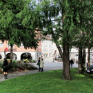 KOE_Stadtf__hrung Feldkirch 40_jpg-1284717757