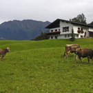 k-_DSC0783_JPG-1284737738