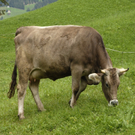 k-_DSC0786_JPG-1284737789