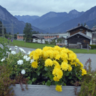 k-_DSC0800_JPG-1284737939