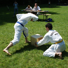 DSC01031_JPG-1284739584