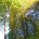 Bild 050_jpg-1284803359