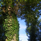 Bild 065_jpg-1284803376