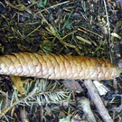 Bild 081_jpg-1284803397