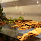 KOE_Ausstellung Tabak und Bier 13_jpg-1284805960