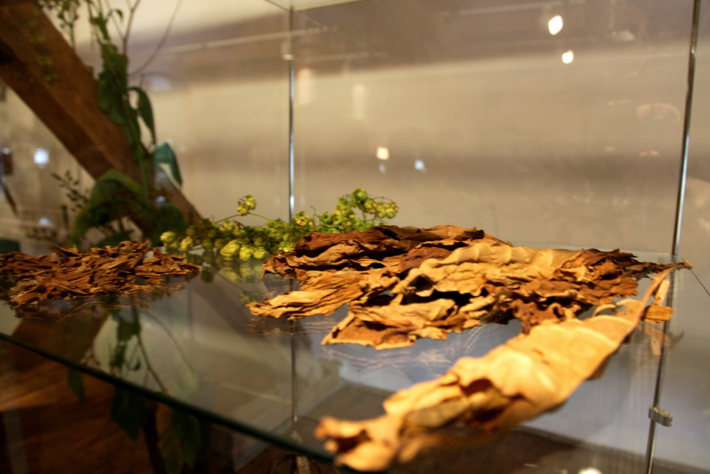 KOE_Ausstellung Tabak und Bier 13_jpg-1284805960