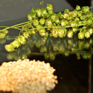 KOE_Ausstellung Tabak und Bier 40_jpg-1284806132
