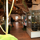 KOE_Ausstellung Tabak und Bier 50_jpg-1284806200
