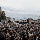 demo9.jpg
