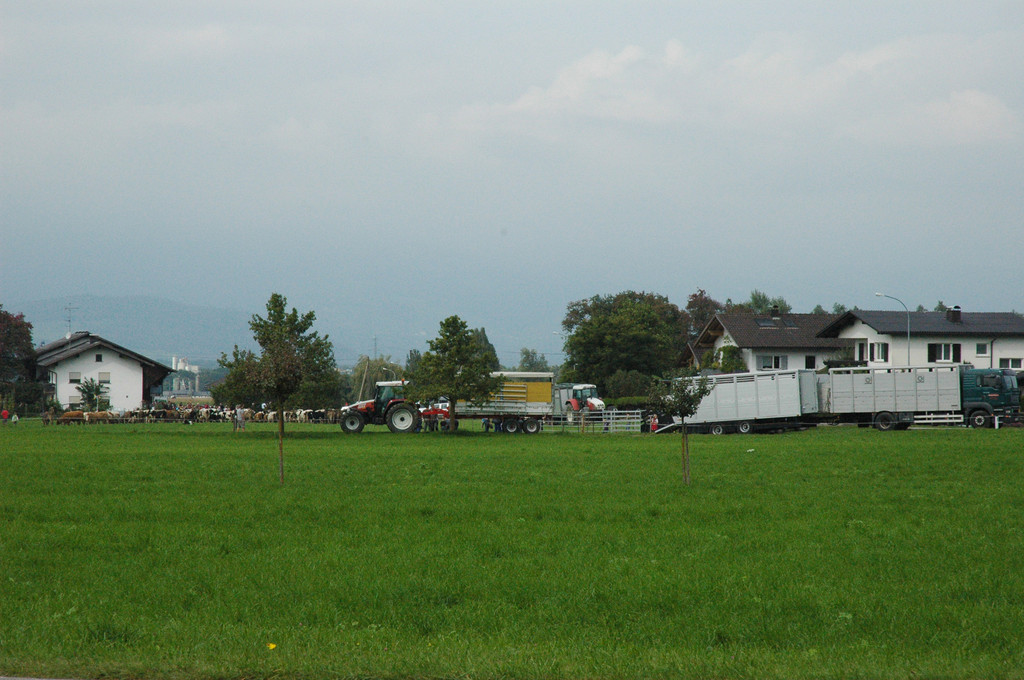 DSC_7959_JPG-1284875426