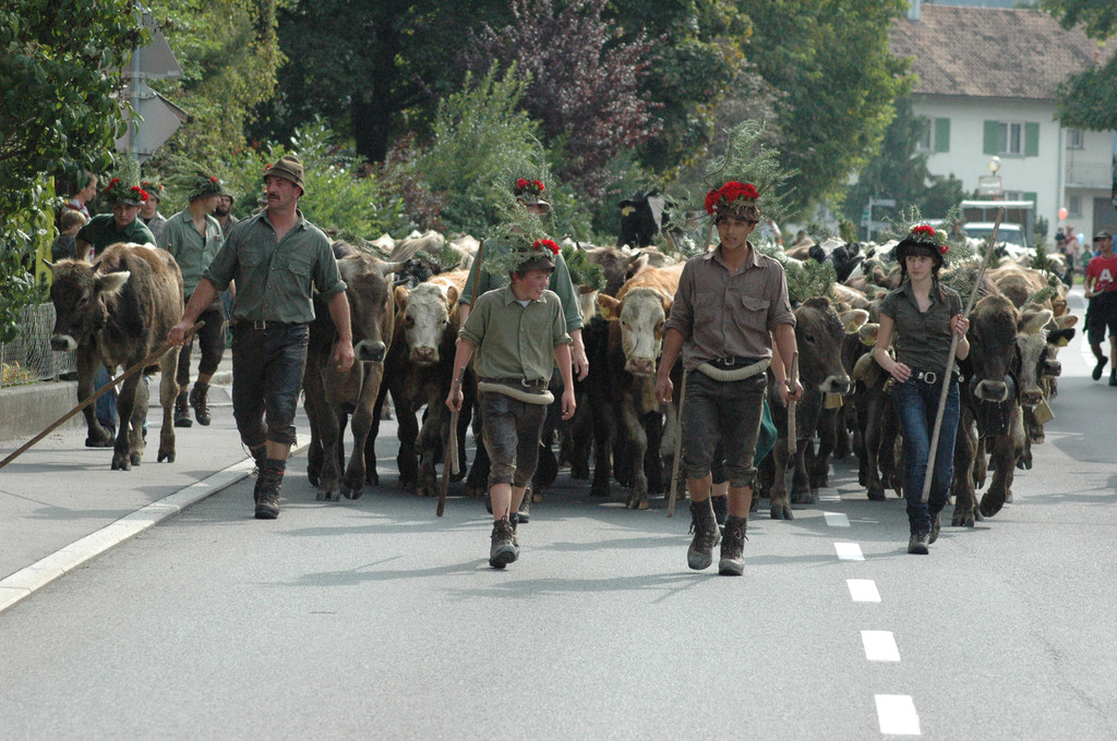 DSC_7843_JPG-1284875451