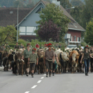 DSC_7855_JPG-1284875571