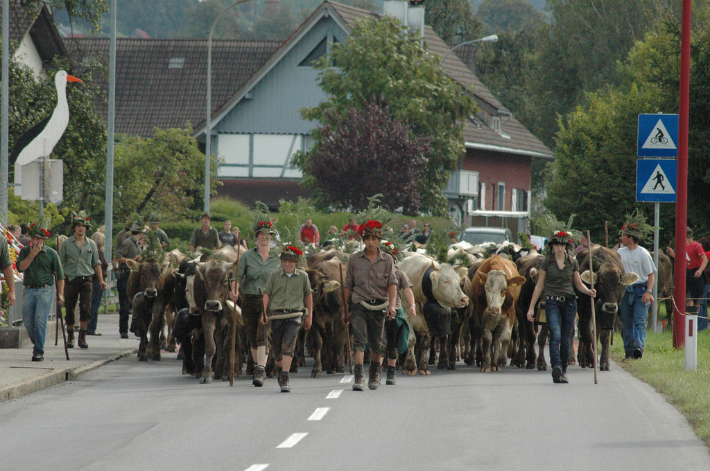 DSC_7855_JPG-1284875571
