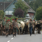 DSC_7856_JPG-1284875596