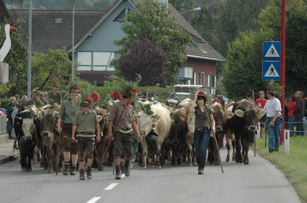 DSC_7856_JPG-1284875596