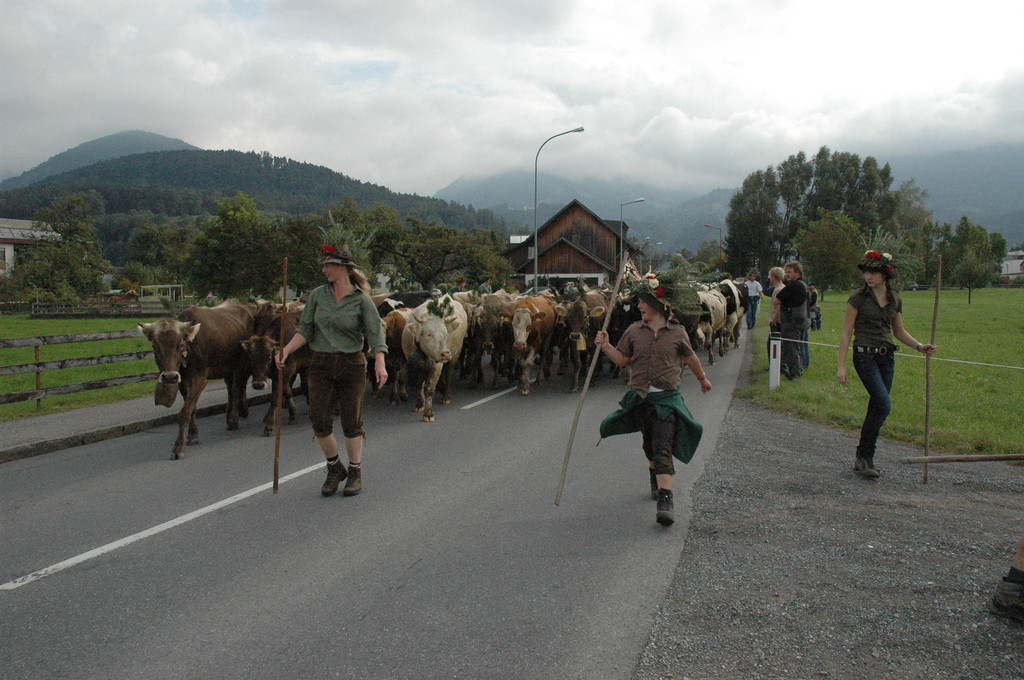 DSC_7860_JPG-1284875641