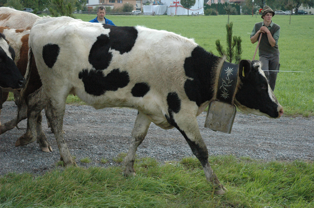 DSC_7866_JPG-1284875743