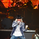 Guns and roses - stadthalle wien 2010 - florian wieser-19.jpg