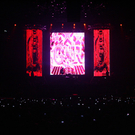 Guns and roses - stadthalle wien 2010 - florian wieser-43.jpg