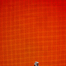Guns and roses - stadthalle wien 2010 - florian wieser.jpg