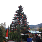 CIMG2008.JPG