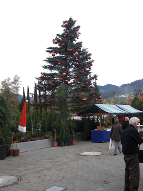 CIMG2008.JPG