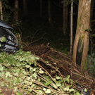 Göfis: Pkw prallt gegen Baum