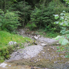 Finsternau2b_jpg-1284924935