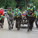 DSC_0006_JPG-1284930305