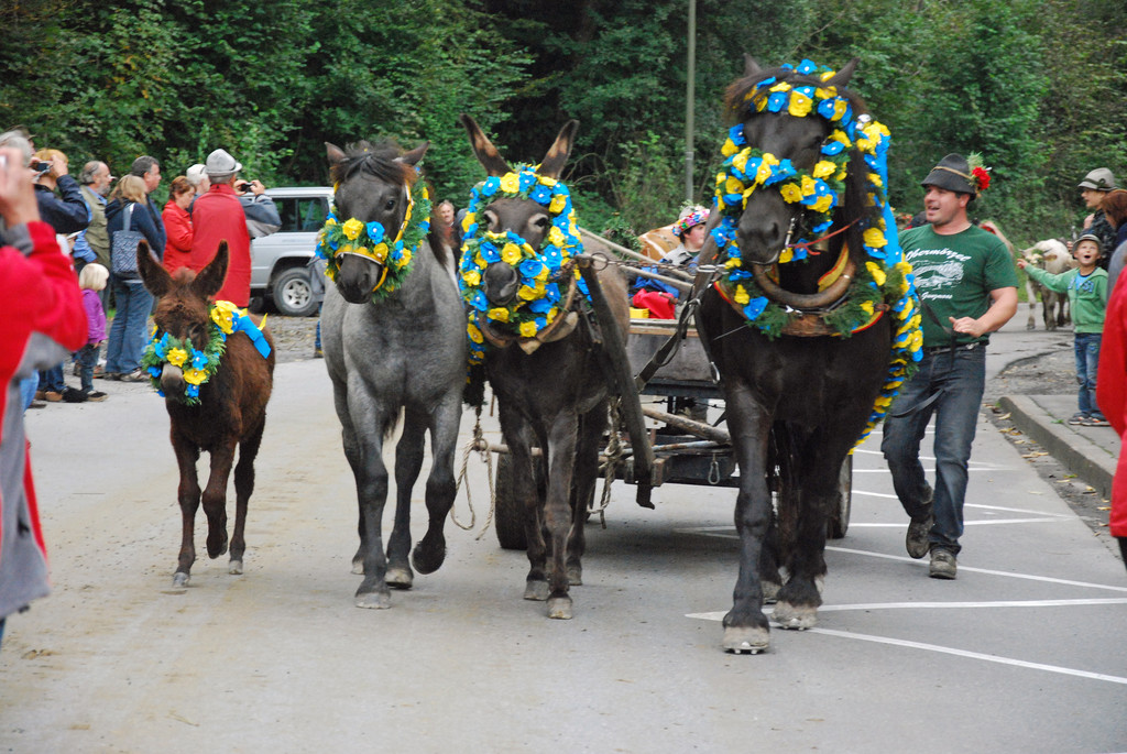 DSC_0006_JPG-1284930305