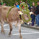 DSC_0019_JPG-1284930501