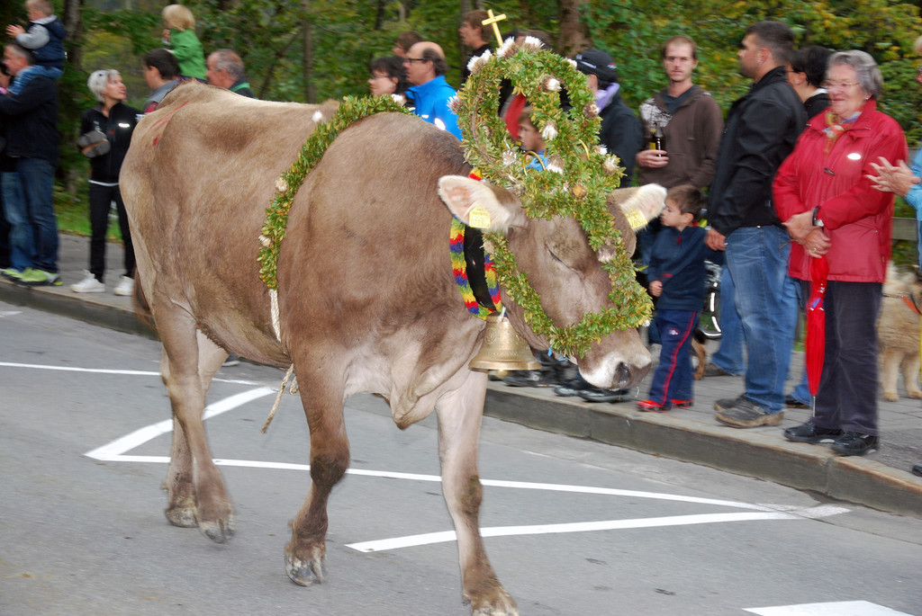 DSC_0019_JPG-1284930501