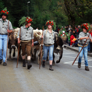 DSC_0021_JPG-1284930583