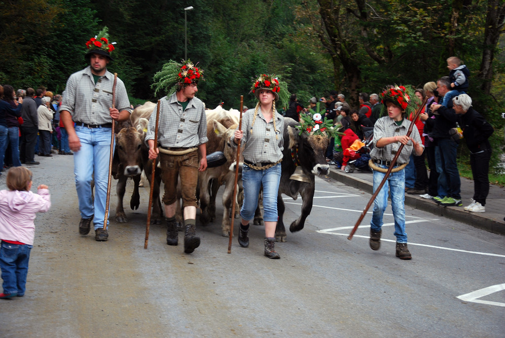 DSC_0021_JPG-1284930583