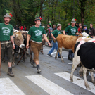 DSC_0027_JPG-1284930637