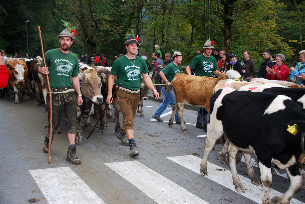 DSC_0027_JPG-1284930637