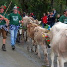 DSC_0031_JPG-1284930735