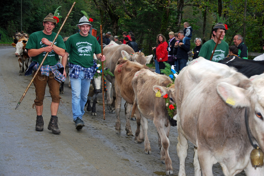 DSC_0031_JPG-1284930735