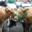 DSC_0057_JPG-1284931097