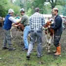 DSC_0059_JPG-1284931169