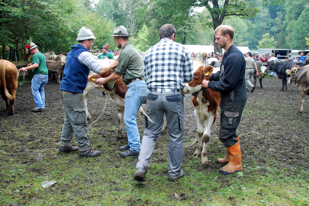 DSC_0059_JPG-1284931169