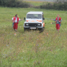 Leine_jpg-1284935266