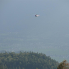 Bilder der Rettung