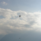 19092010paragliderLTaktivnews_20_14_.jpg
