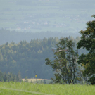 19092010paragliderLTaktivnews_20_25_.jpg